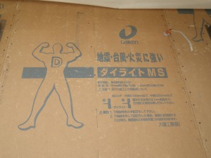 IMGP0602