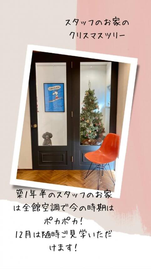 スタッフのお家のクリスマスツリーが素敵!